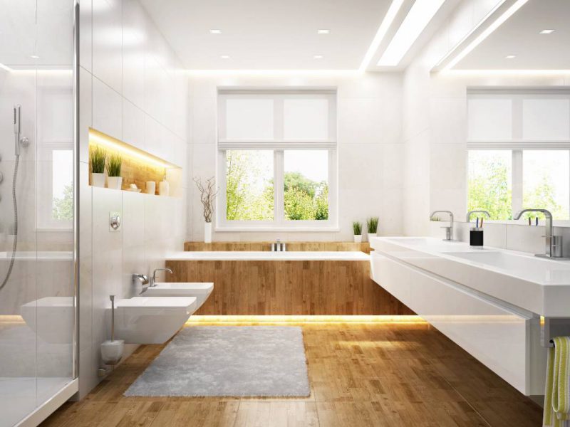 Modern bathroom featuring bathroom shades near Helena, MT